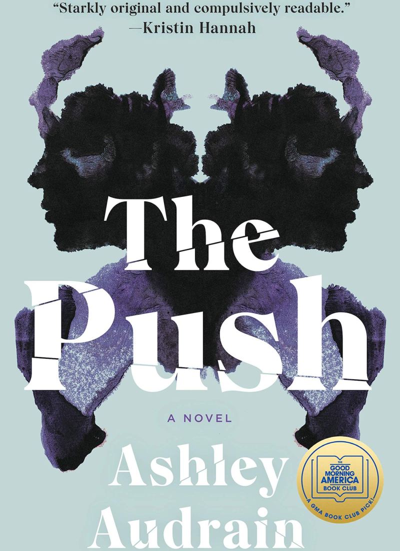 The Push Ashley Audrain