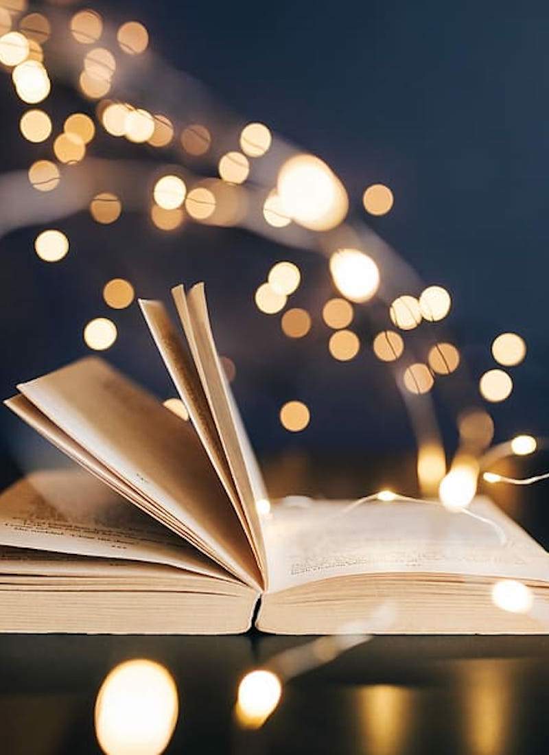 Our 2021 Christmas Gift Guide for Book Lovers